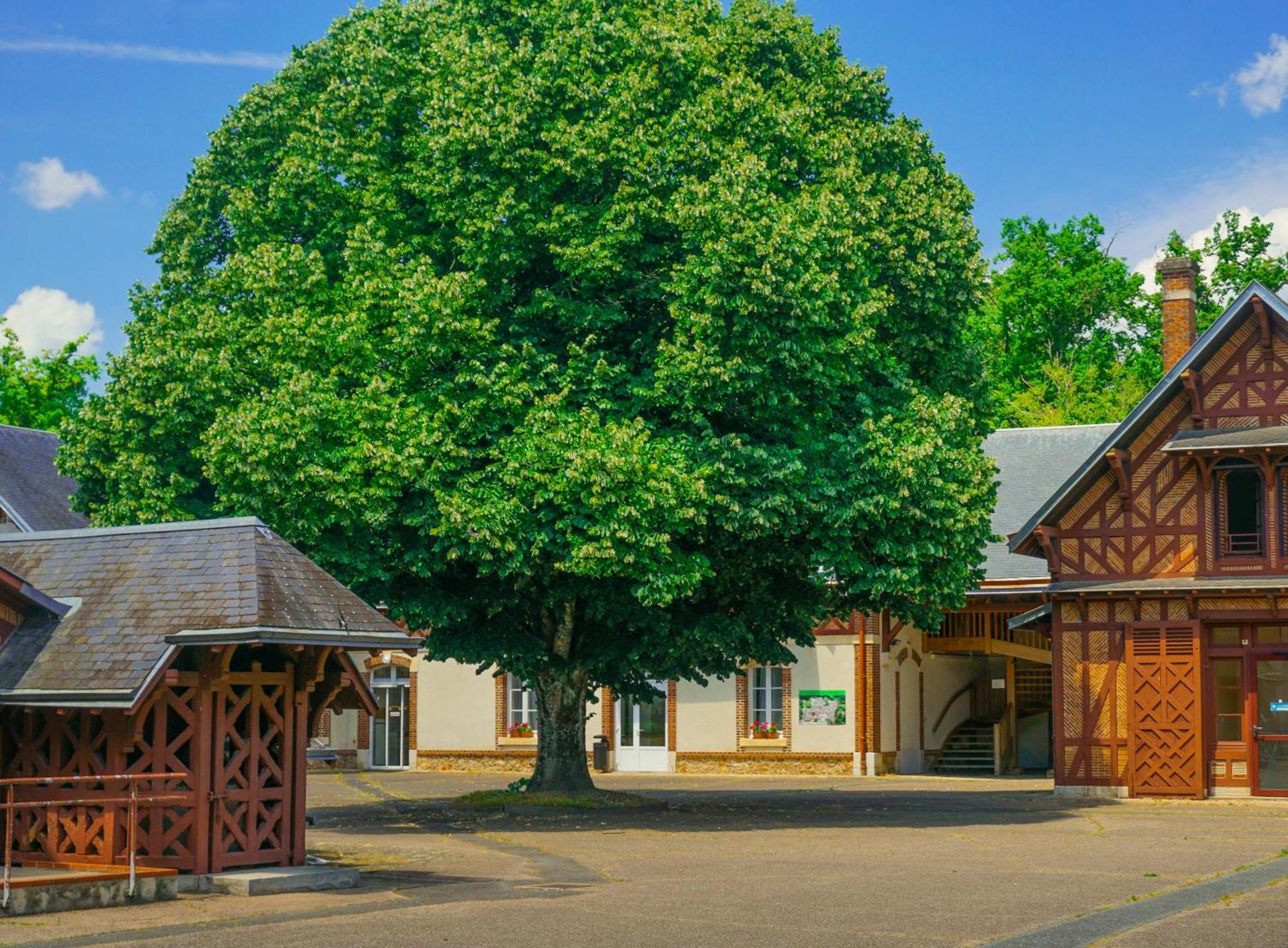 Hotel-Restaurant Domaine De La Grande Garenne ヌヴィー＝シュル＝バランジョン エクステリア 写真